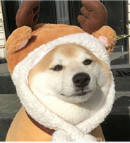 微信圖片_20220425114106.png 微信圖片_20220425114106.png